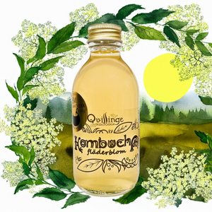 
                  
                    FLÄDERBLOM KOMBUCHA
                  
                